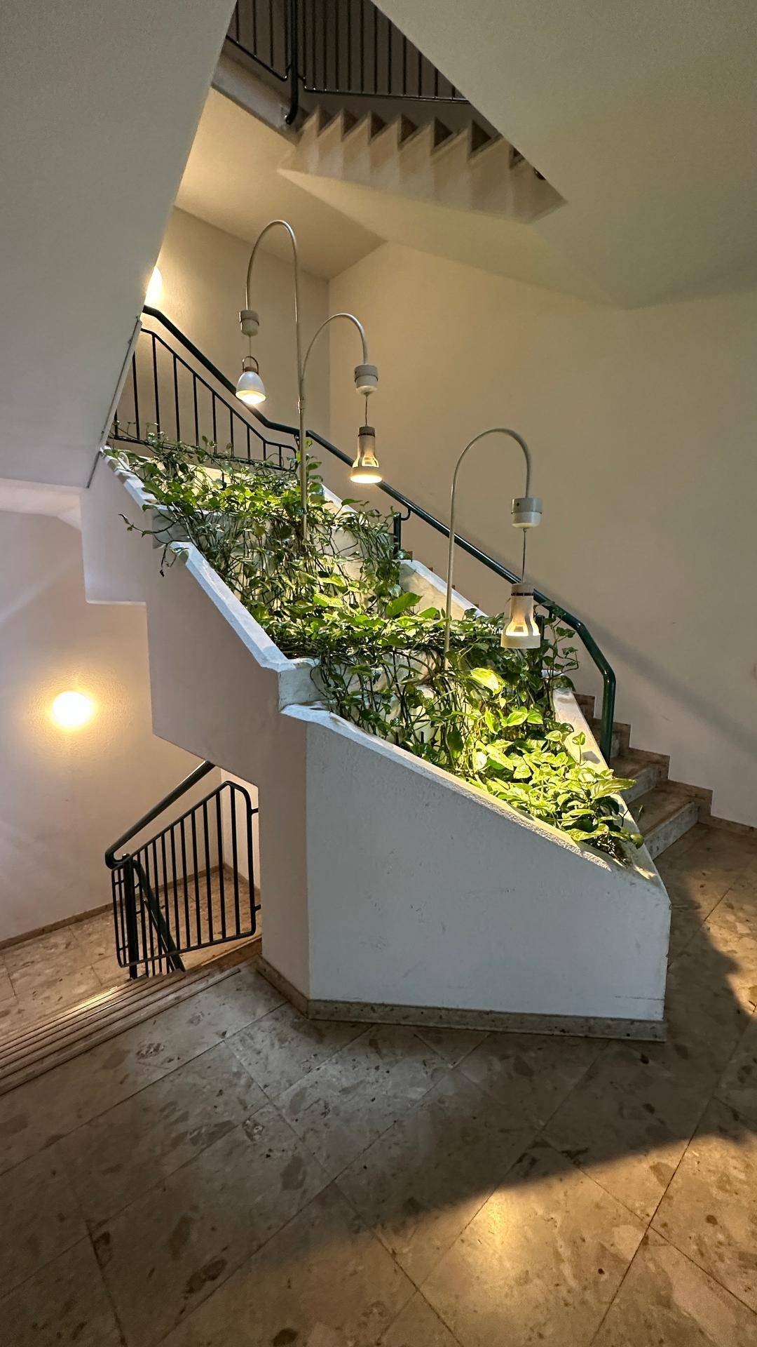 Helles Treppenhaus mit Pflanzen in einem integrierten Blumenbeet und dekorativen Lampen.