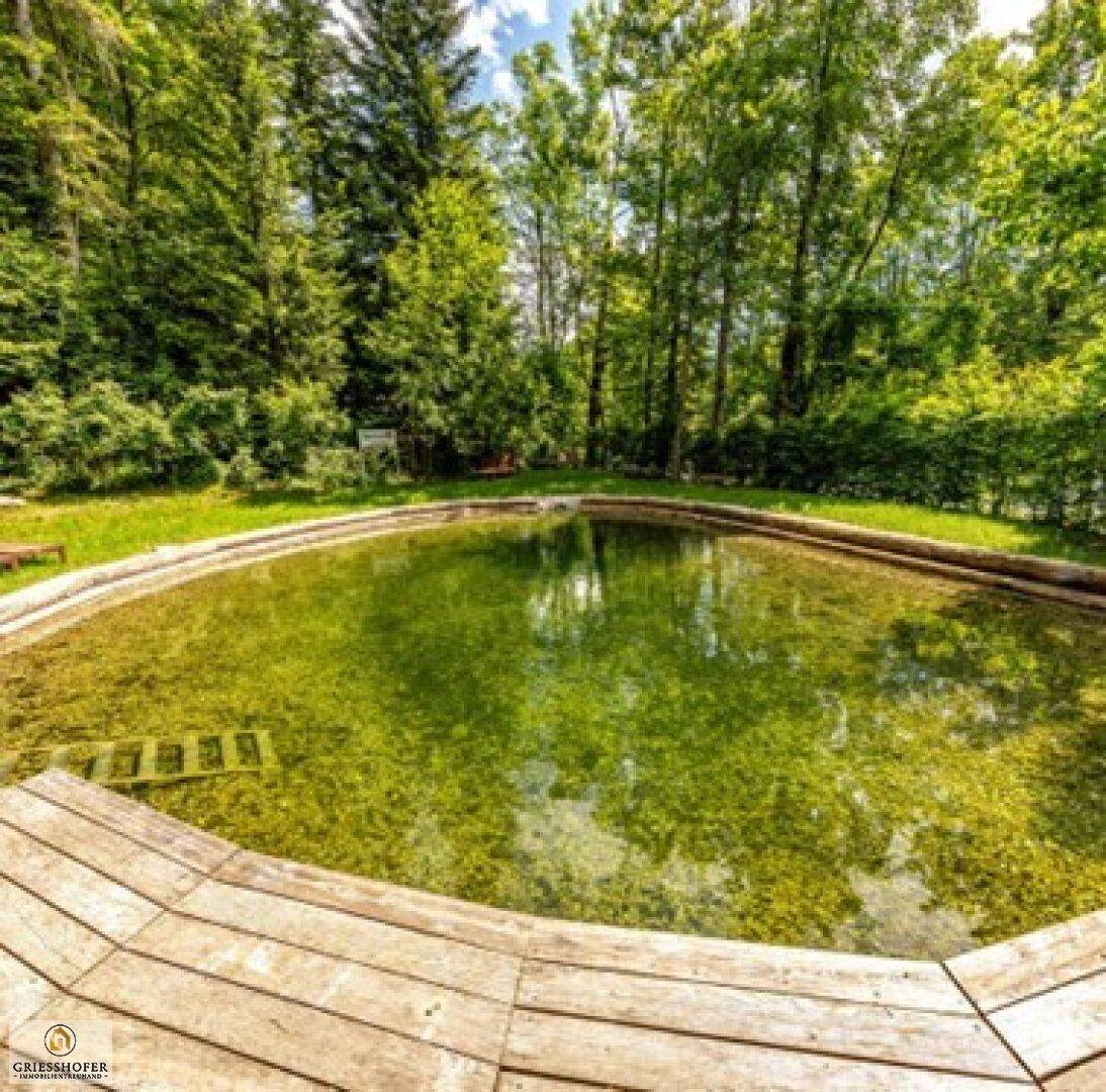 Natürlicher Teich mit Holzdeck, umgeben von Bäumen und Grünflächen.