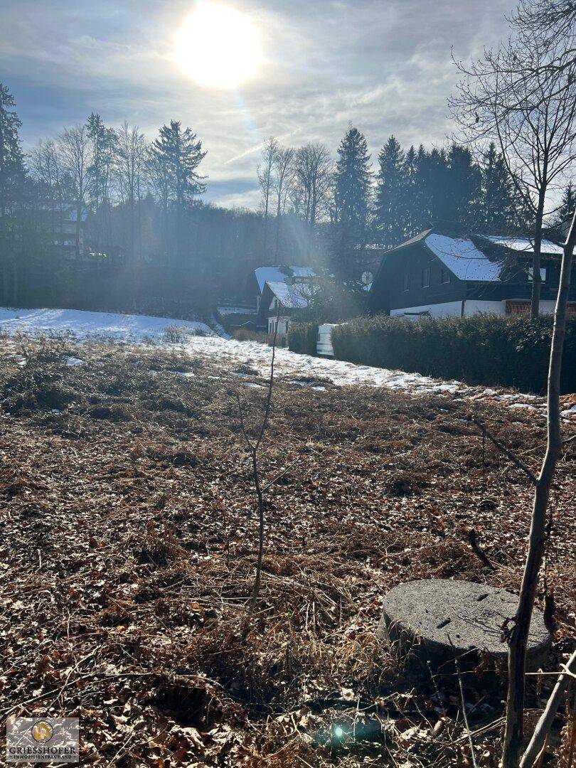 Sonnenbeschienene Winterlandschaft mit trockenem Gras, Schnee und Häusern im Hintergrund.