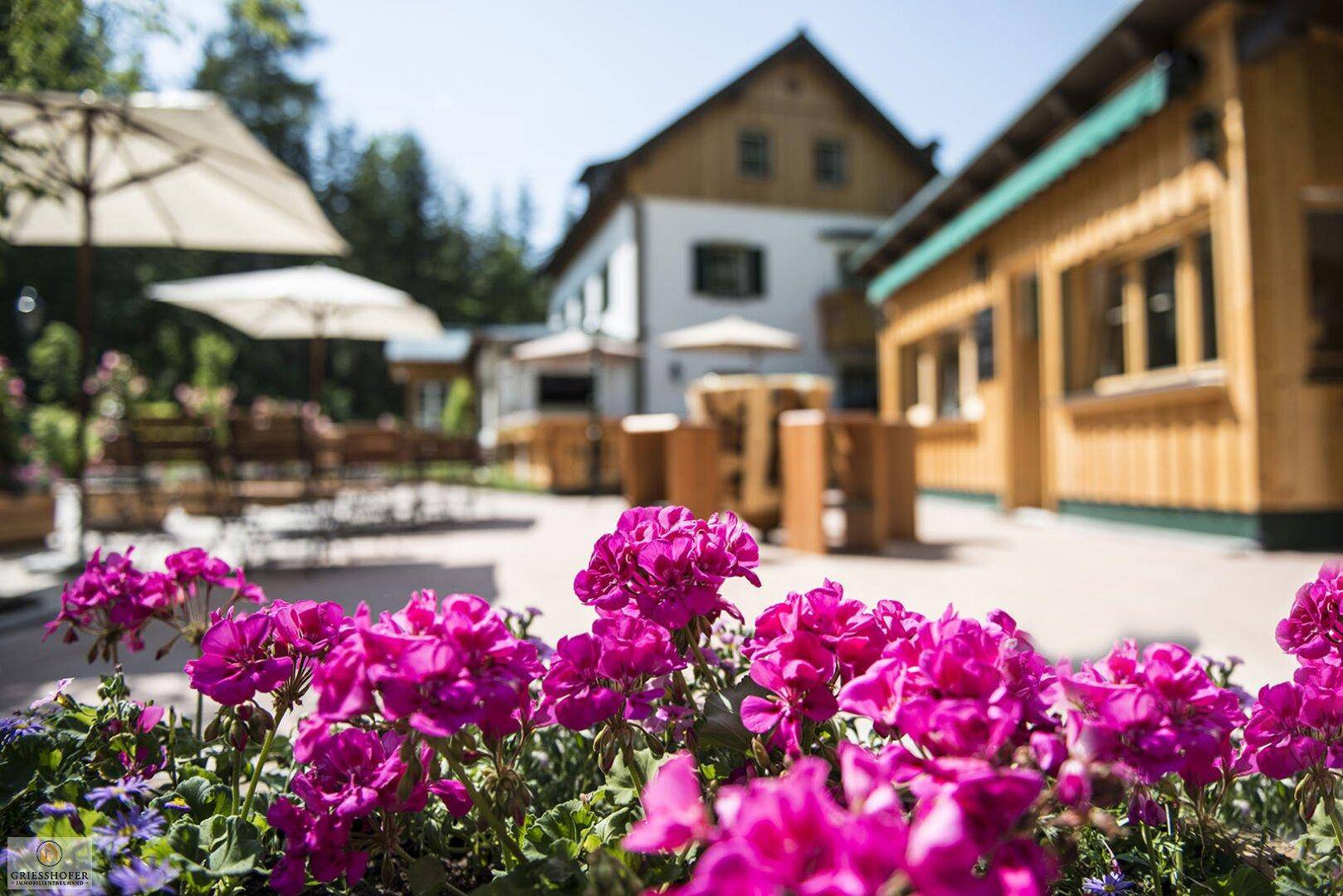 Sonniger Außenbereich mit Tischen, Stühlen und blühenden Blumenbeeten.