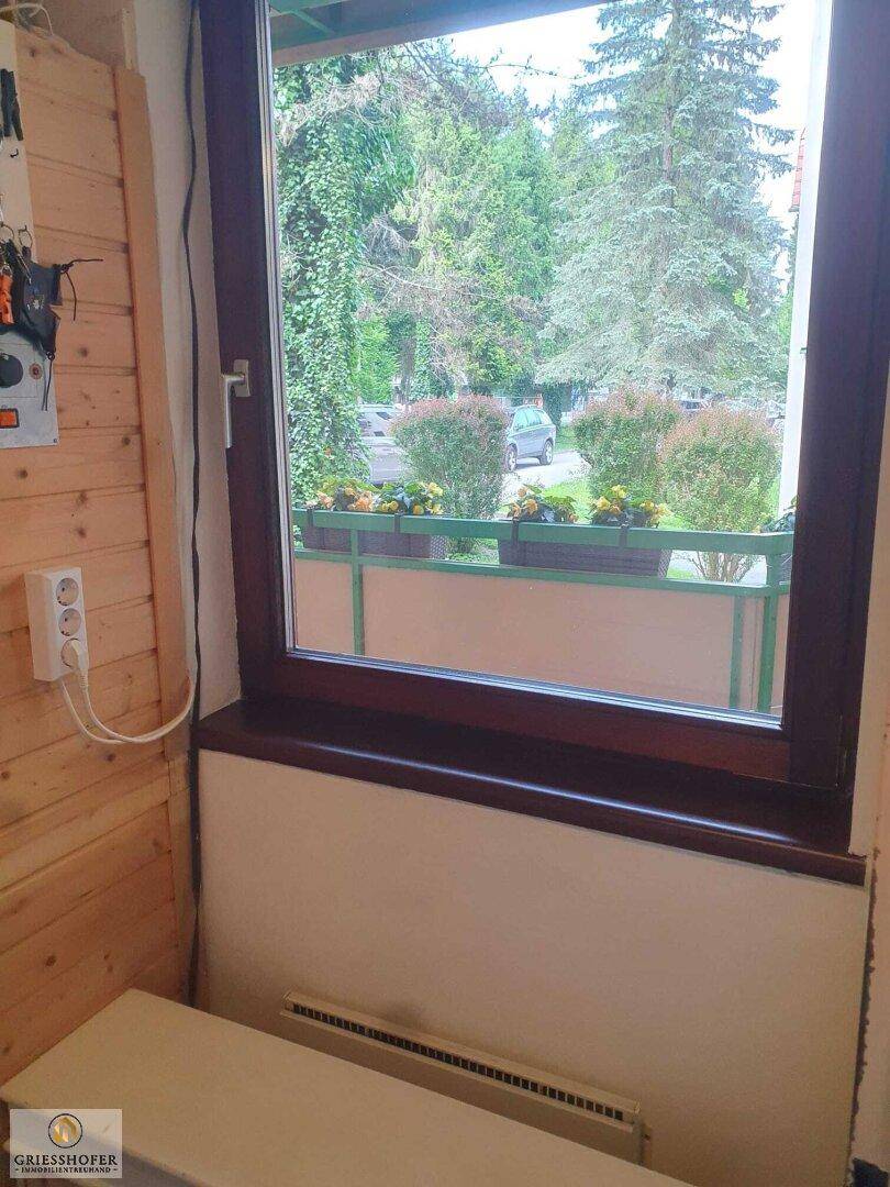 Fensterblick aus dem Saunaraum auf die grüne Umgebung und die Straße.