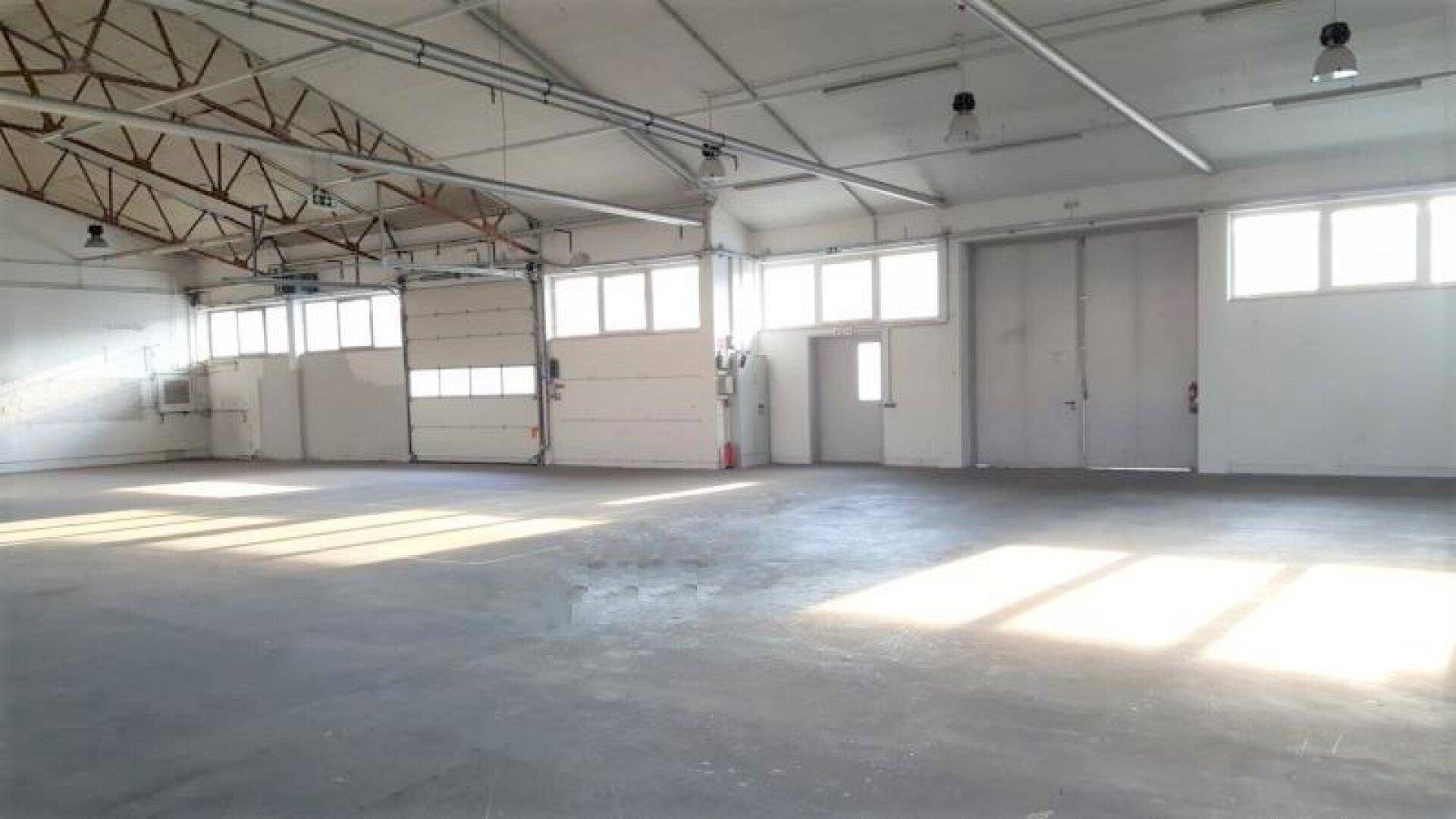 Geräumige Lagerhalle mit mehreren Rolltoren, hohen Decken und großen Fenstern für natürliche Belichtung.