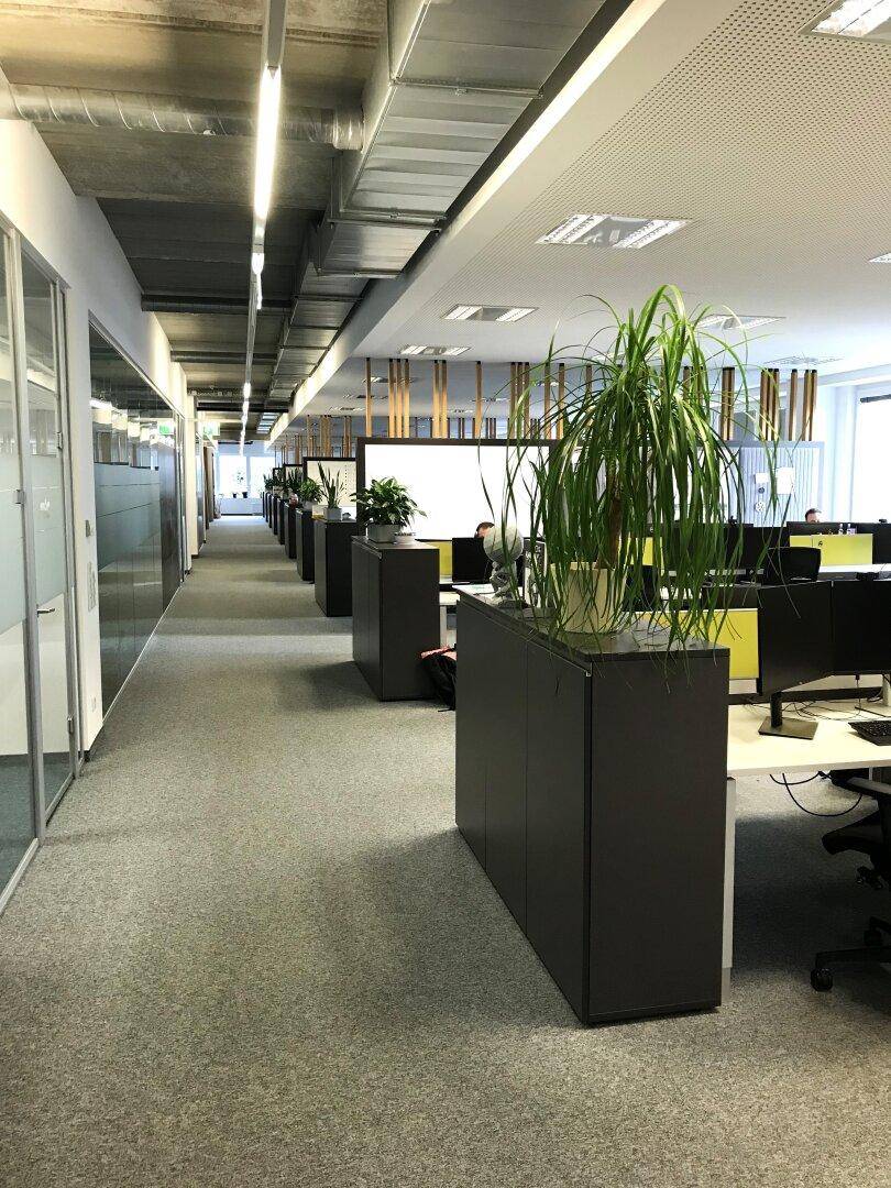 Langer Bürogang mit Teppichboden, Glaswänden und offenen Arbeitsbereichen mit Pflanzen.