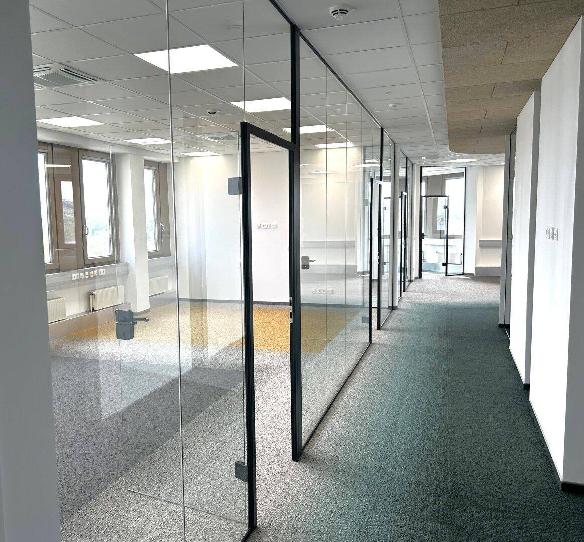 Moderner Bürobereich mit Glaswänden, Teppichboden und viel Tageslicht, ideal für flexible Arbeitsplatzgestaltung.
