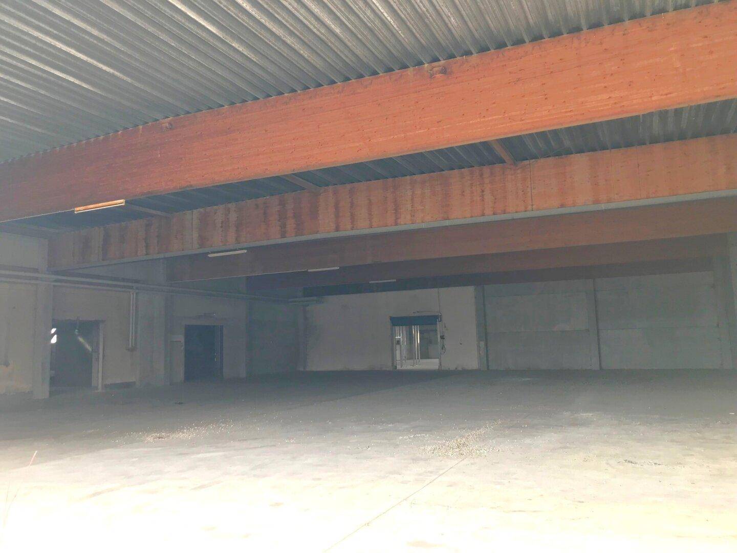 Geräumige, leere Lagerhalle mit hohen Decken, sichtbaren Holzbalken und robustem Betonboden.