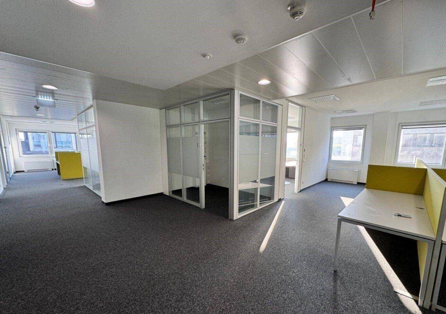 Modernes Büro mit Teppichboden, Glasabtrennungen für Besprechungsräume und Arbeitsplätzen mit gelben Trennwänden.