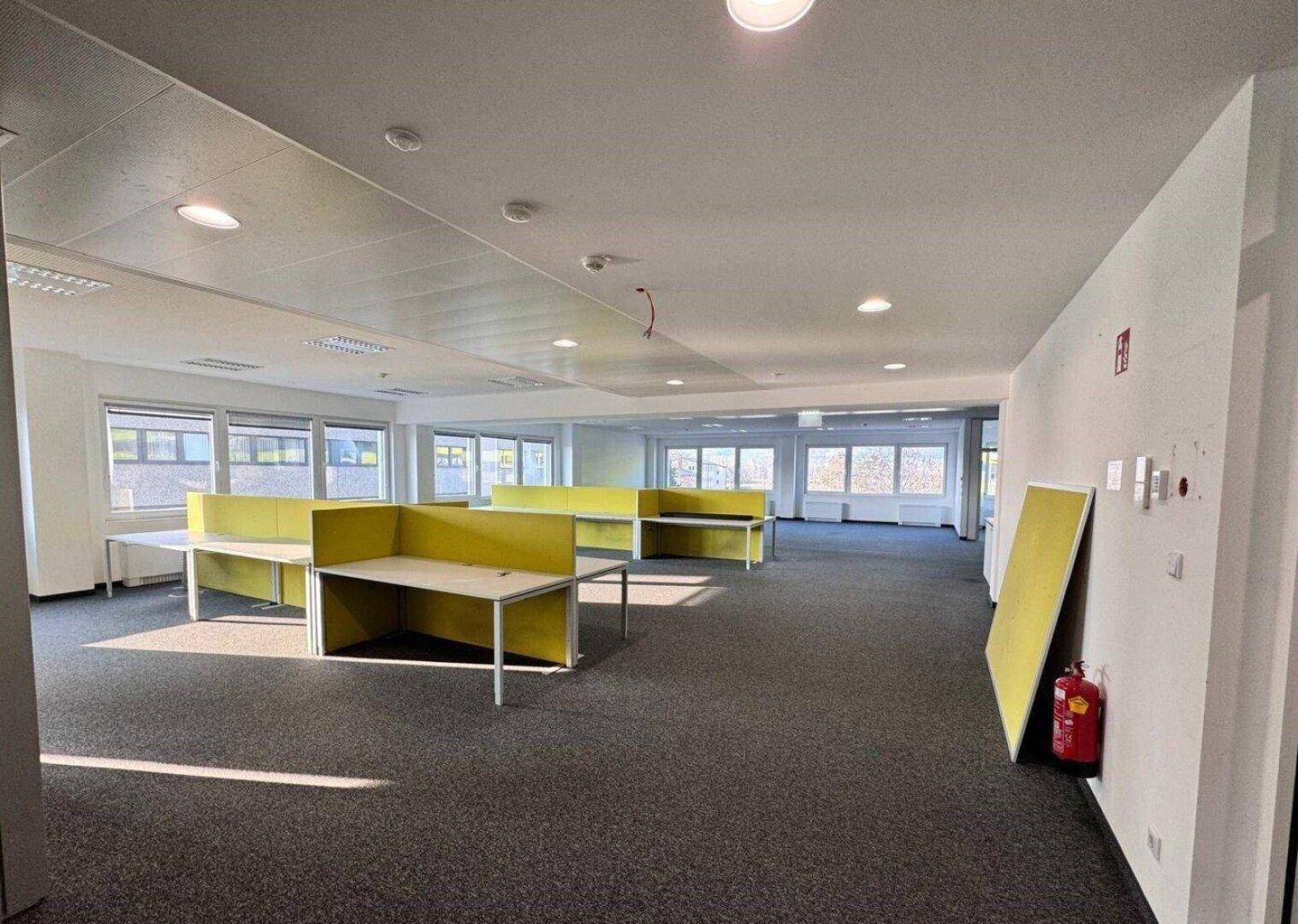 Großes, offenes Büro mit Teppichboden, vielen Fenstern und gelben Trennwänden für Arbeitsplätze.