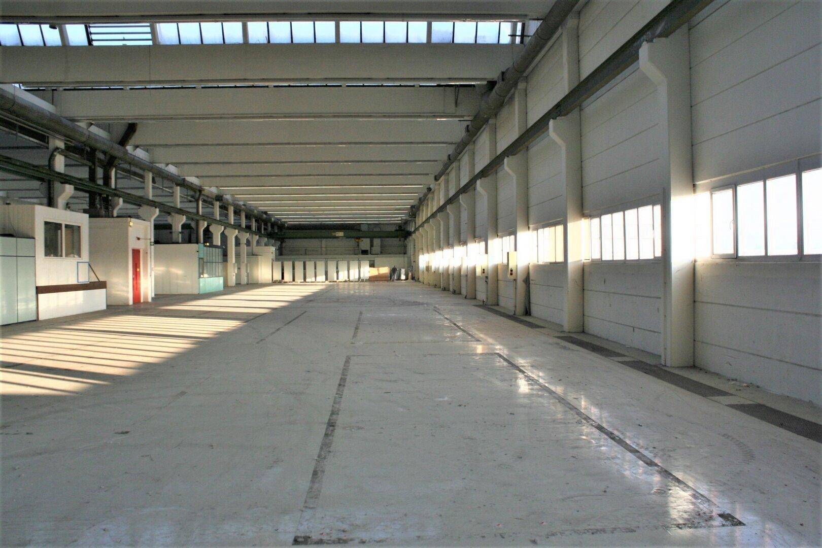 Weitläufige Industriehalle mit Betonboden, hohen Decken und langen Schatten durch die seitlichen Fenster.