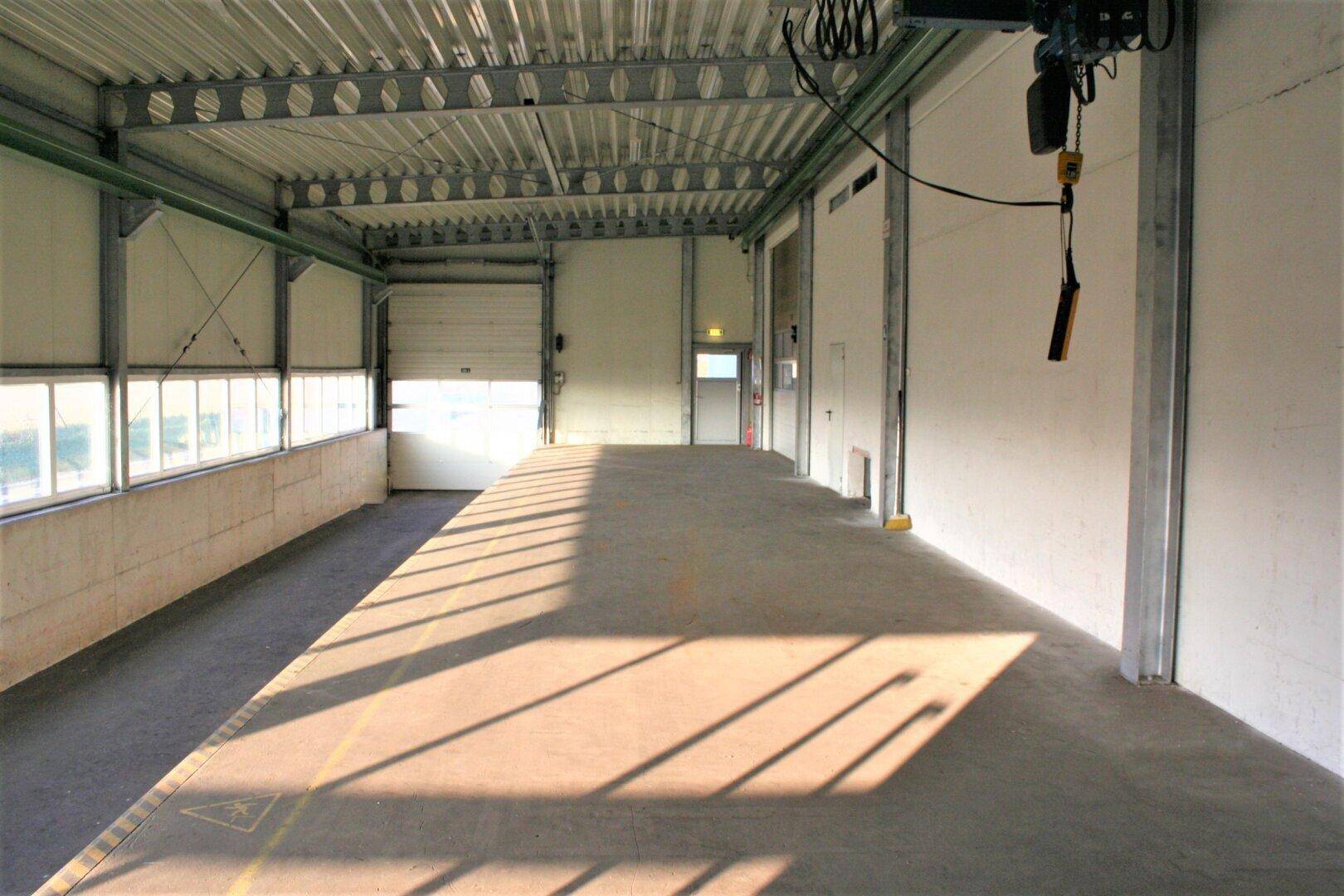 Heller Industrieraum mit Rolltor, hohen Decken und Betonboden, durchflutet von Sonnenlicht.