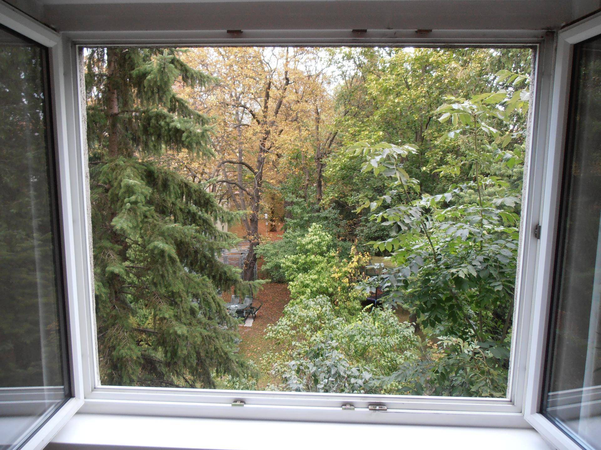 Blick aus dem Fenster auf üppiges Grün und Bäume im Herbst.