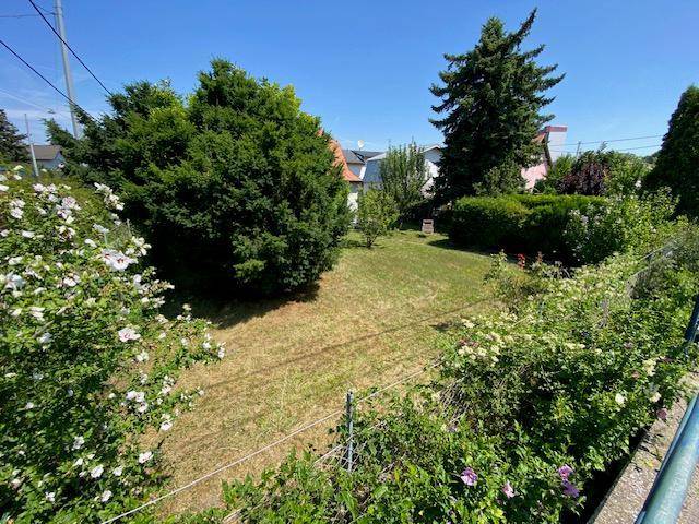 Ein Platz zum Ankommen - Seltene Gelegenheit an der Alten Donau - Privatverkauf - Vista 6