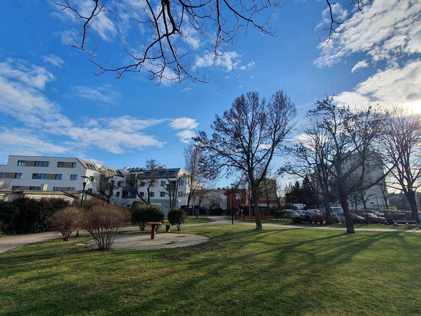 Parkähnliche Grünfläche mit modernen Wohngebäuden im Hintergrund unter einem strahlend blauen Himmel.