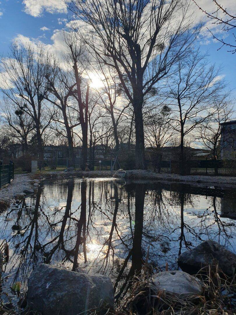 Ruhiger Teich mit Spiegelungen von Bäumen und Sonnenlicht auf der Wasseroberfläche an einem sonnigen Tag.