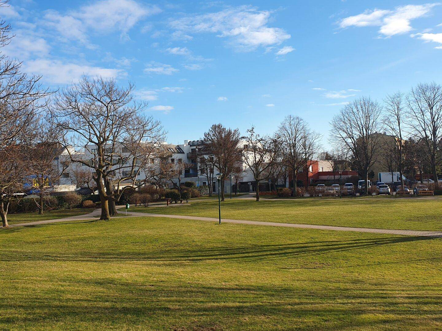Weitläufige Rasenfläche mit Bäumen und modernen Wohngebäuden im Hintergrund unter einem klaren blauen Himmel.