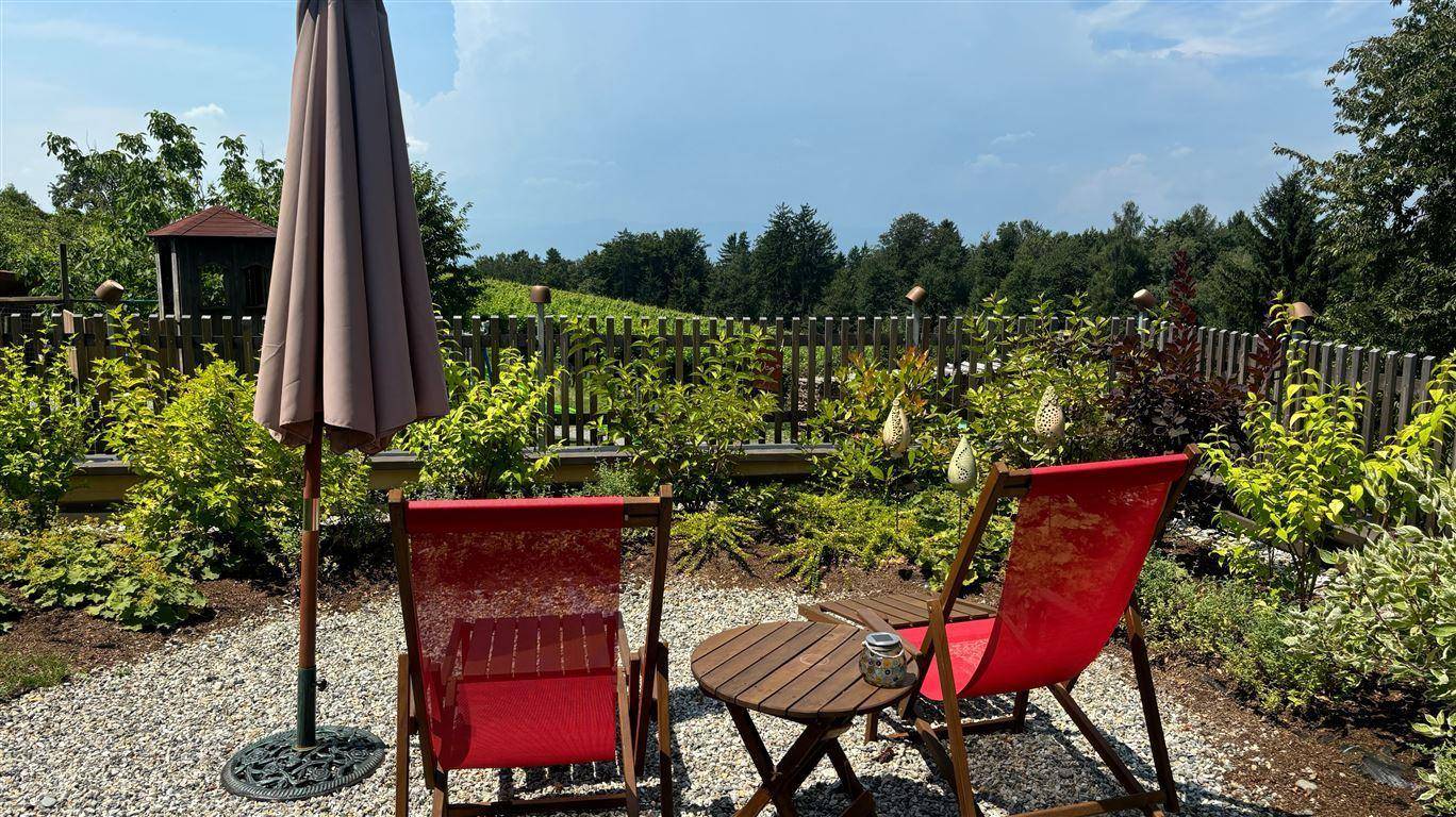 Weinberg 2 - Kopie
