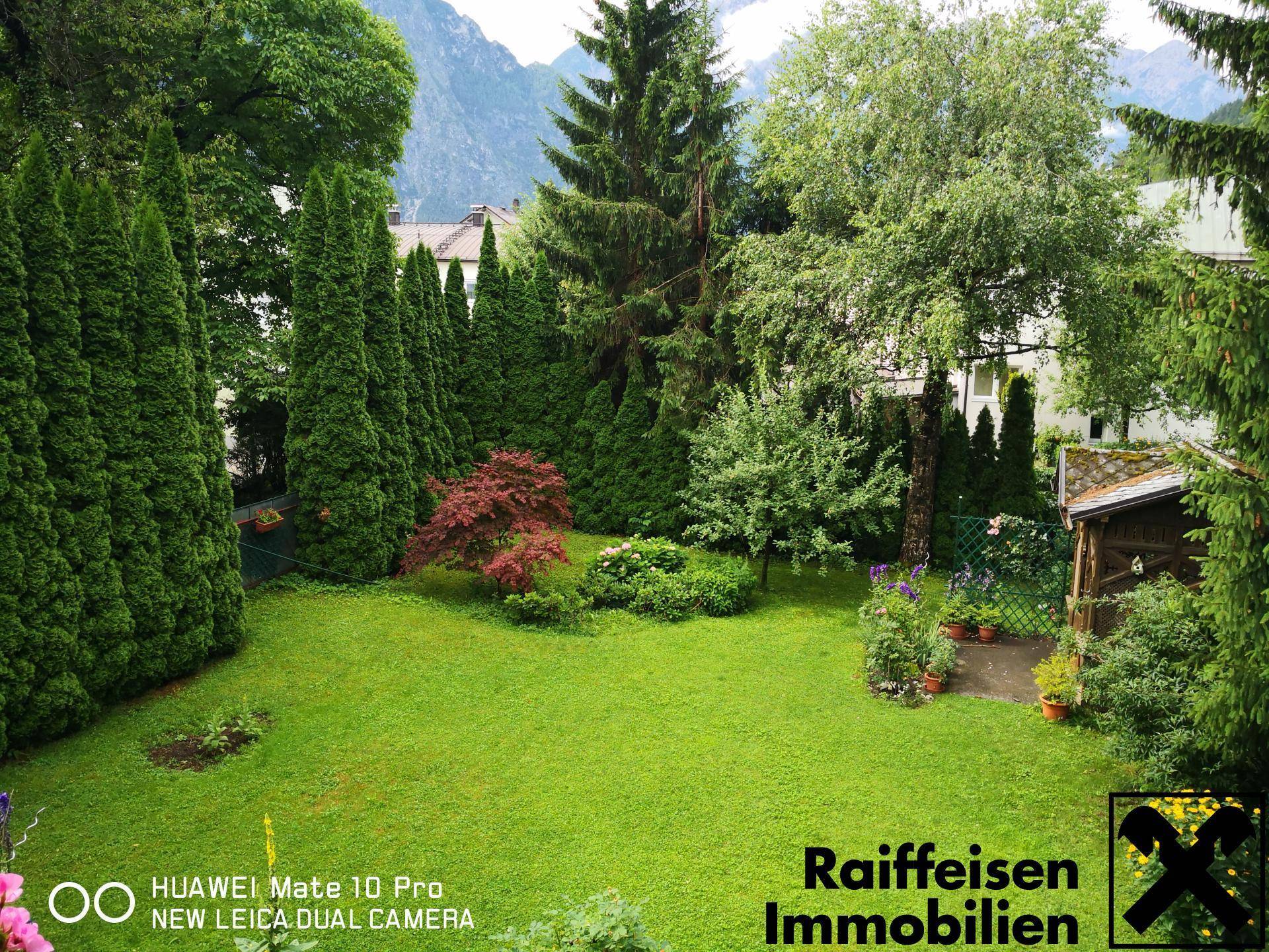 Sommeraufnahmen vom wunderschönen Garten