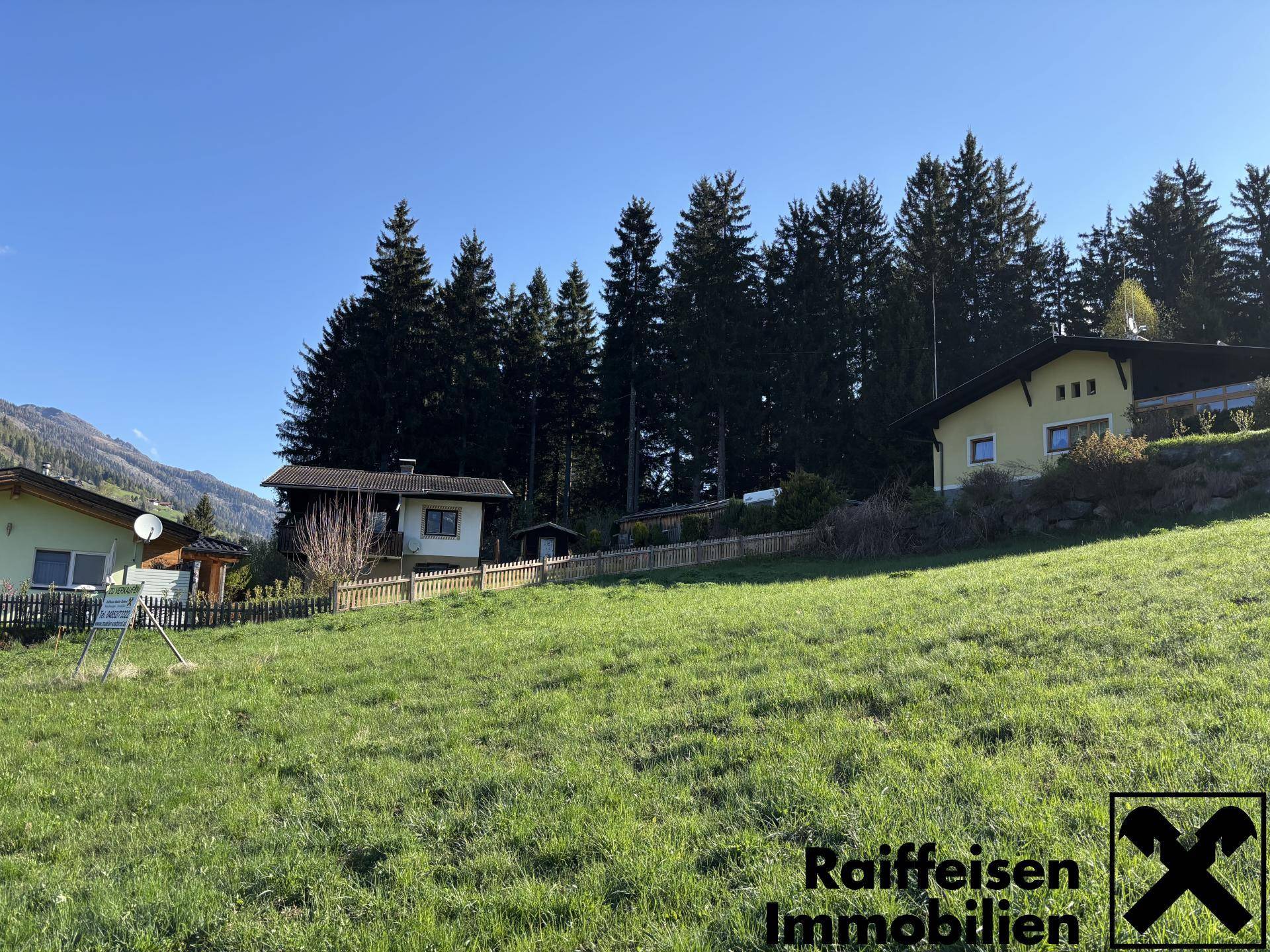 Weitläufige grüne Wiese mit mehreren Häusern und dichtem Wald im Hintergrund unter blauem Himmel.