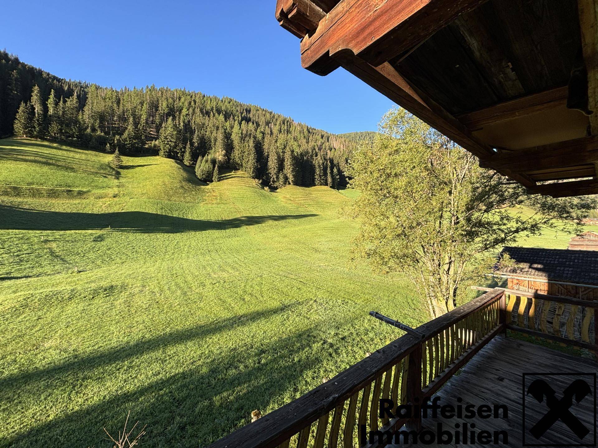 Blick vom Holzbalkon auf eine weite grüne Wiese und die umliegenden bewaldeten Berge.