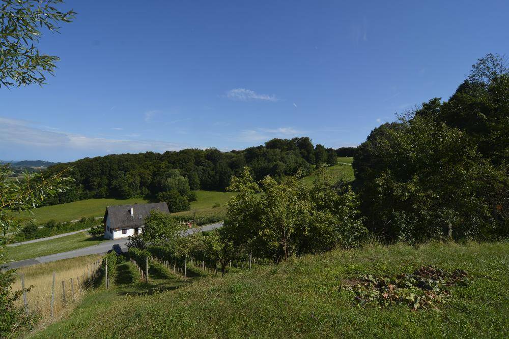 Panoramablick auf das Haus, eingebettet in eine grüne Hügellandschaft mit Weinbergen und einer Straße.