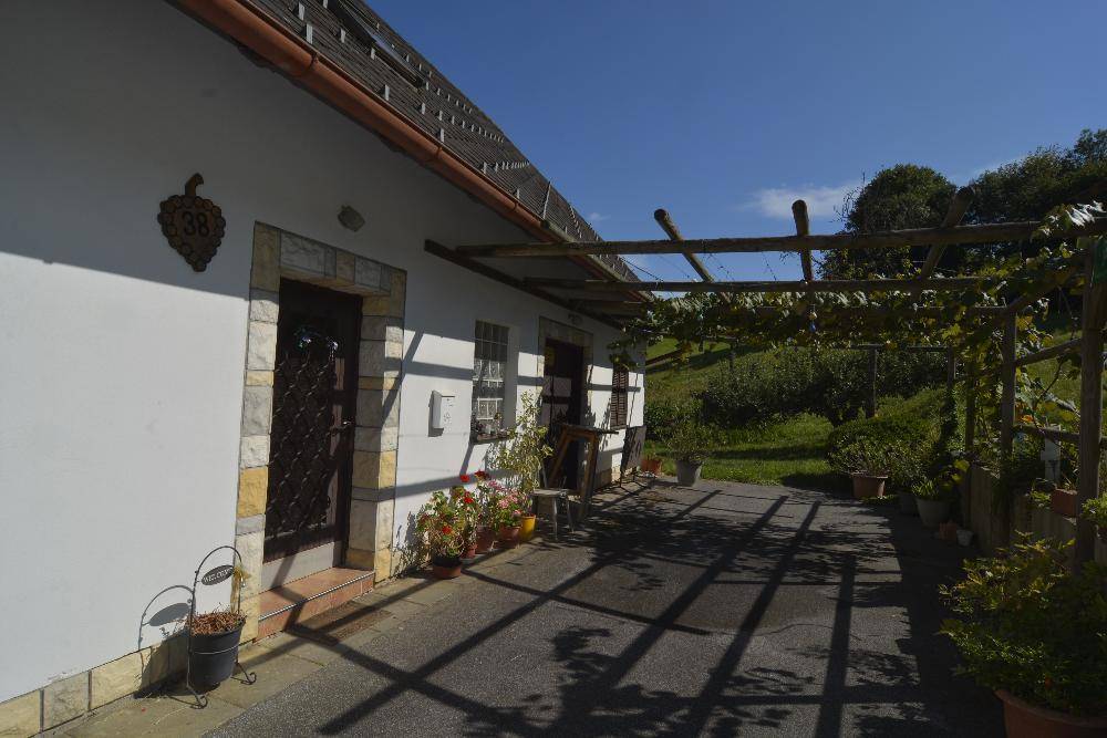 Eingangsbereich des Hauses mit überdachter Pergola, Topfpflanzen und gepflastertem Vorplatz.