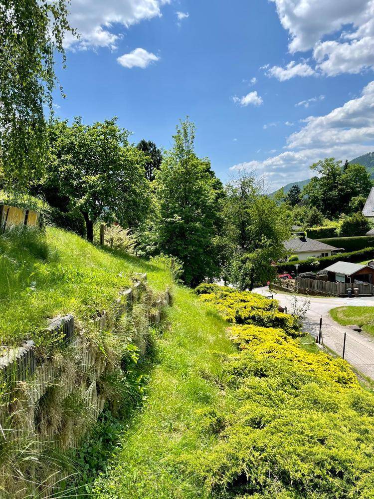 Naturbelassener Gartenbereich mit üppigem Grün, Sträuchern und Blick auf die Umgebung.