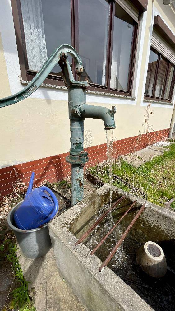Eine alte, grüne Wasserpumpe im Garten, die Wasser in ein steinernes Becken leitet.