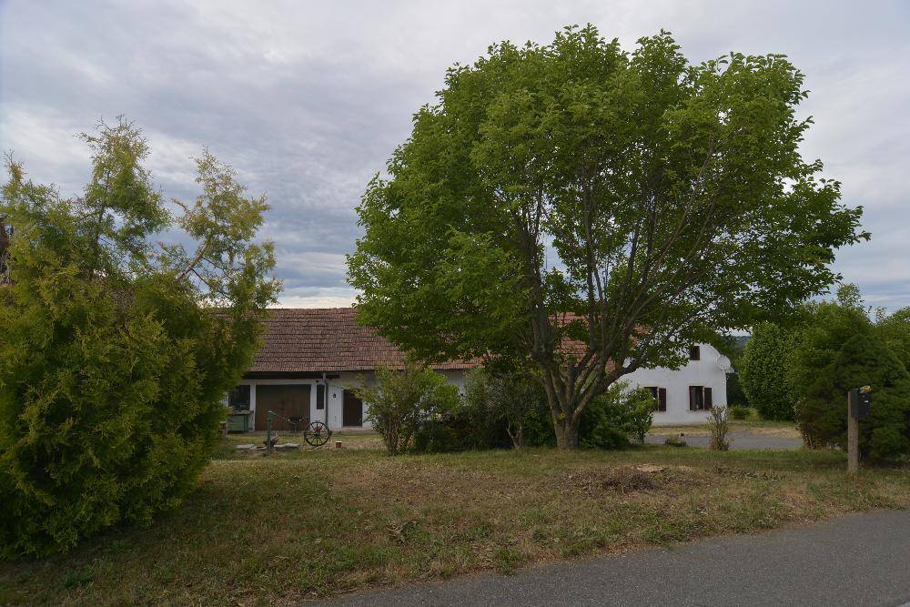 Landhausansicht hinter einem großen Baum und Büschen, mit ländlicher Straße im Vordergrund.