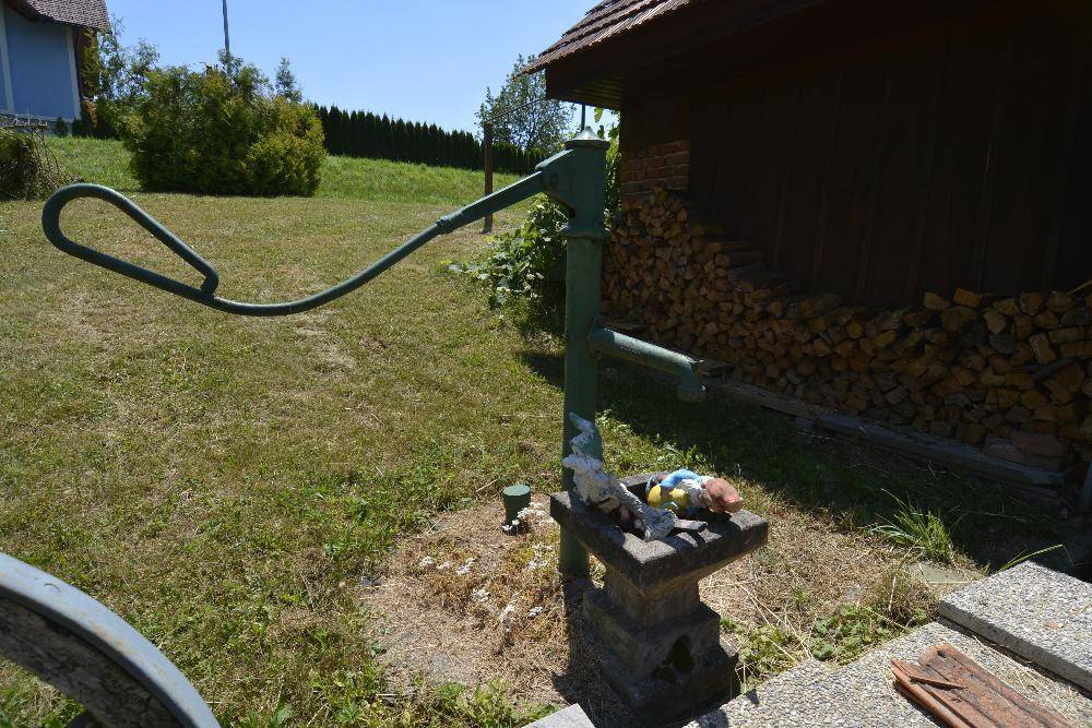 Alte grüne Wasserpumpe und Gartenzwerge als traditionelle Dekoration im ländlichen Garten.