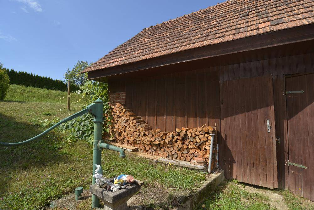 Rustikaler Holzschuppen mit gestapeltem Brennholz und einer alten Wasserpumpe im Gartenbereich.