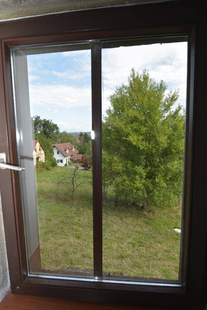 Blick aus einem Fenster auf eine grüne Landschaft mit Bäumen und entfernten Häusern.