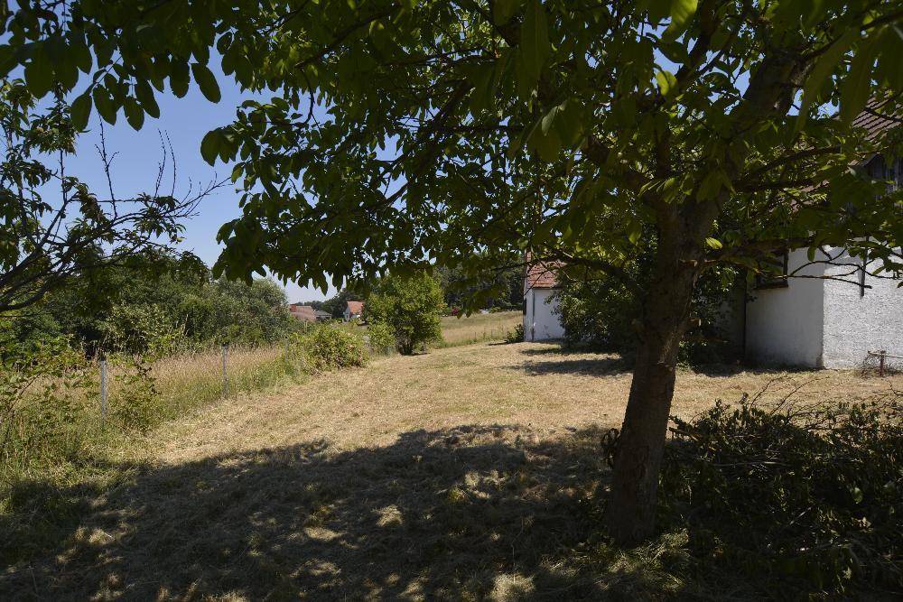 Weitläufige Grünfläche mit Bäumen und ländlichem Ausblick, ideal für Entspannung im Freien.