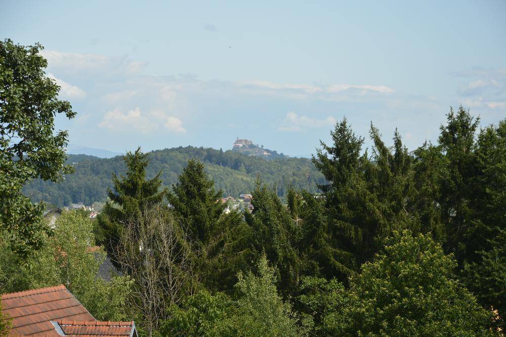 Malerischer Fernblick auf eine Burg auf einem Hügel, umgeben von grünen Baumwipfeln.