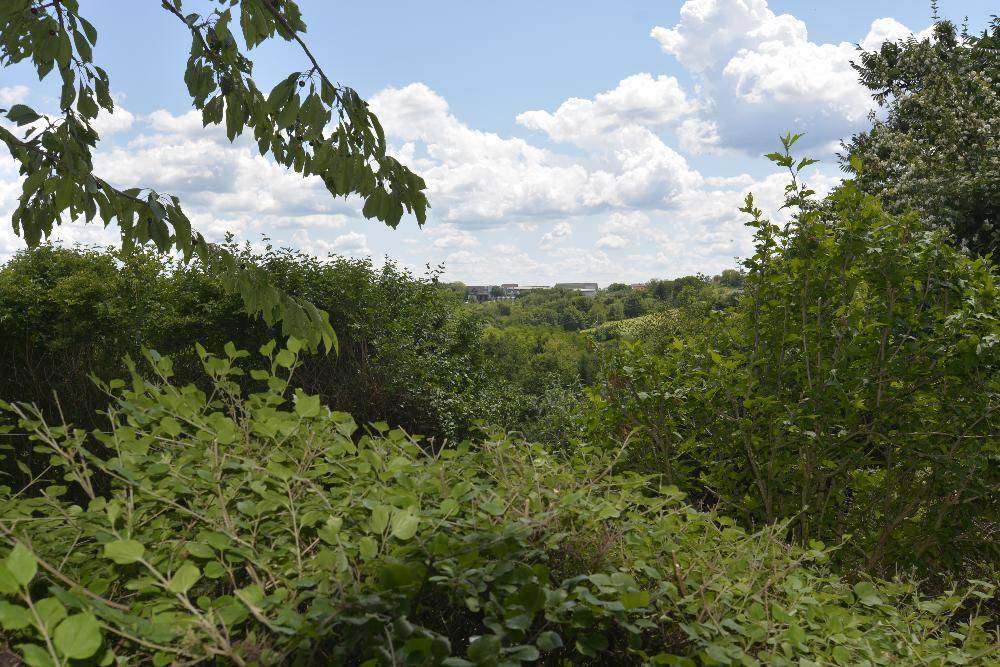Blick über dichte Vegetation auf eine ferne Siedlung unter blauem Himmel.