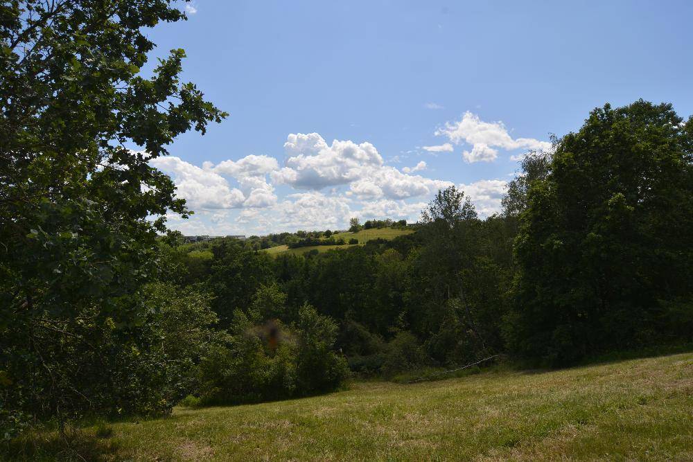 Malerischer Ausblick auf die weite Landschaft mit grünen Hügeln und Wäldern.