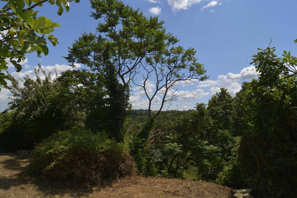 Malerischer Ausblick von einem erhöhten Punkt im Garten auf die bewaldete Landschaft.