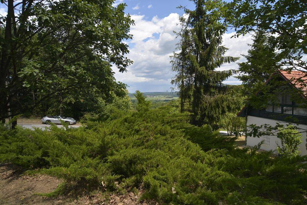 Weitläufiger Blick über die grüne Landschaft mit Feldern und Wäldern, ein Auto am Straßenrand.