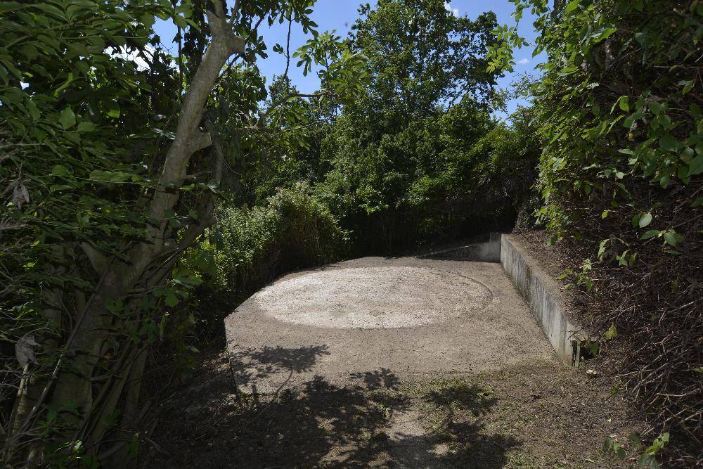 Runder Kiesplatz, umgeben von üppigem Grün, ideal für eine Gartenlaube oder Sitzgelegenheit.