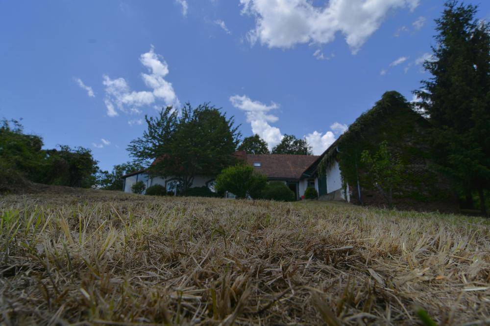 Blick über den trockenen Rasen hinauf zum Haus, umgeben von Bäumen unter blauem Himmel.