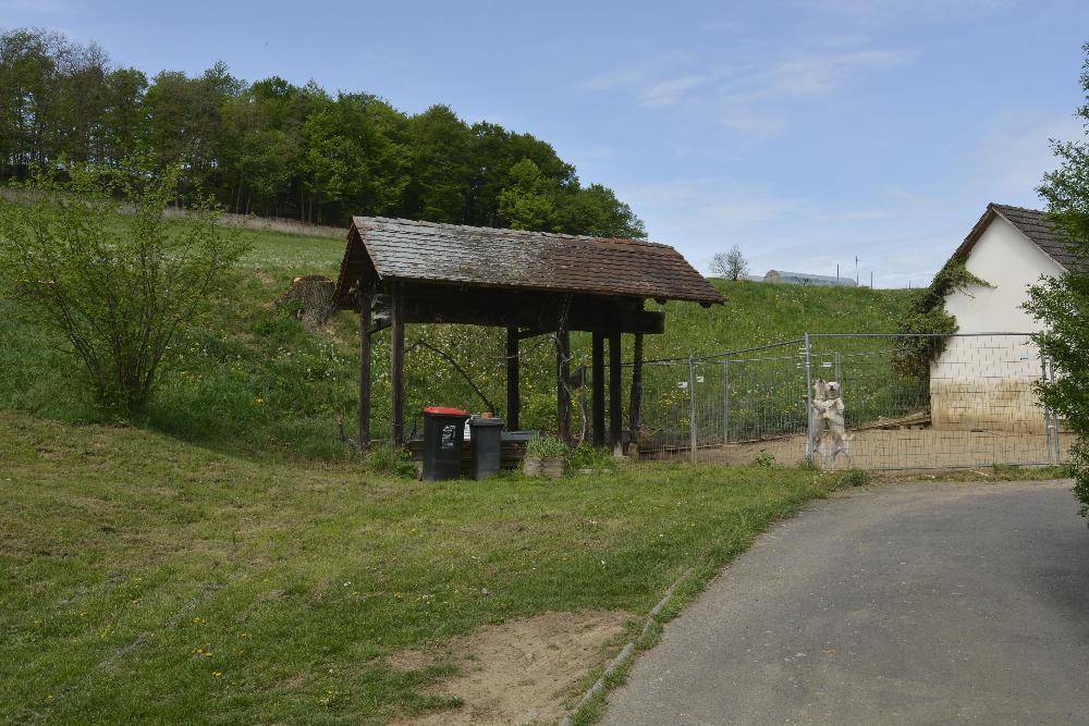 Rustikaler Holzunterstand neben einem Zaun mit einem Hund auf einer grünen Wiese.