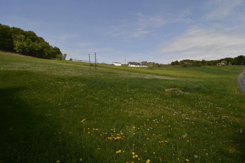 Weite grüne Wiesenlandschaft mit gelben Blumen und Häusern in der Ferne unter blauem Himmel.