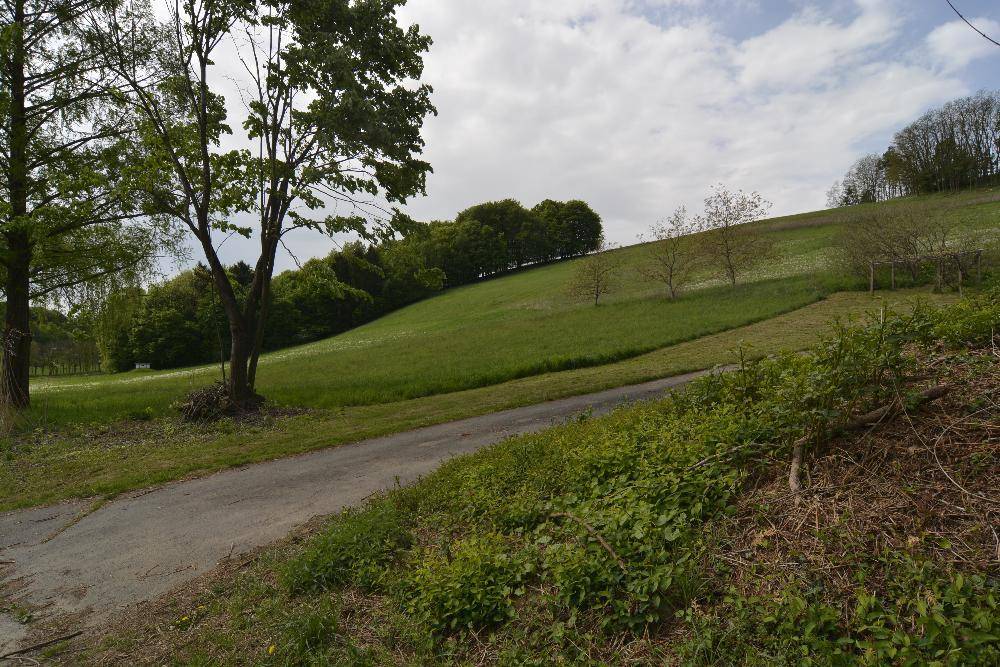 Sanfter grüner Hügel mit vereinzelten Bäumen und einem Feldweg unter bewölktem Himmel.