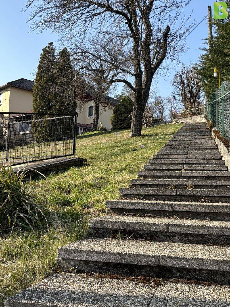Steintreppe führt den Hang hinauf zu den oberen Bereichen des Grundstücks.