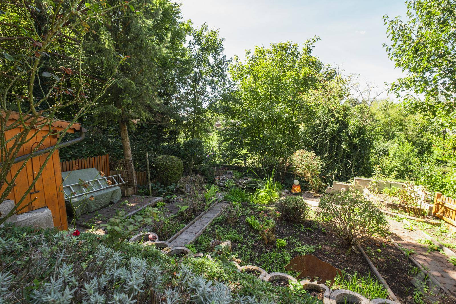 Blick in den Garten