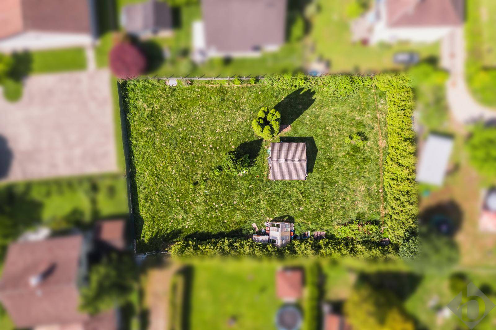 Senkrechte Luftaufnahme eines rechteckigen Grundstücks mit Gartenhaus und Heckenbegrenzung.