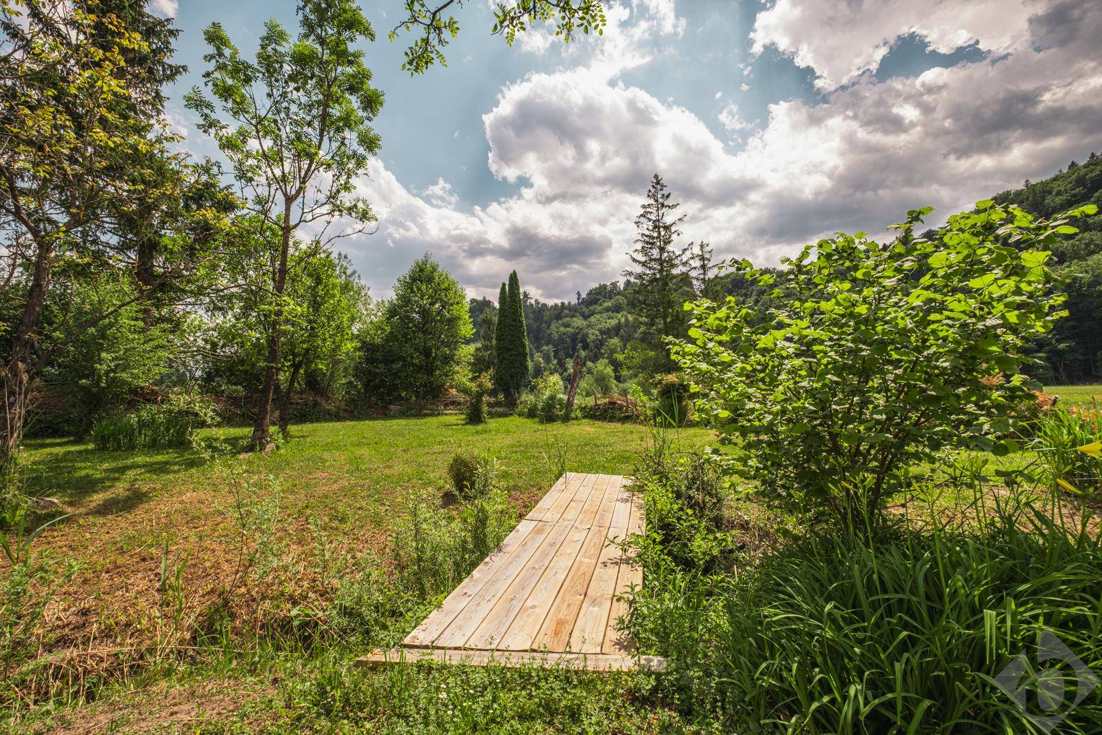 Idyllischer Gartenbereich mit Holzsteg, umgeben von üppigem Grün und hohen Bäumen.