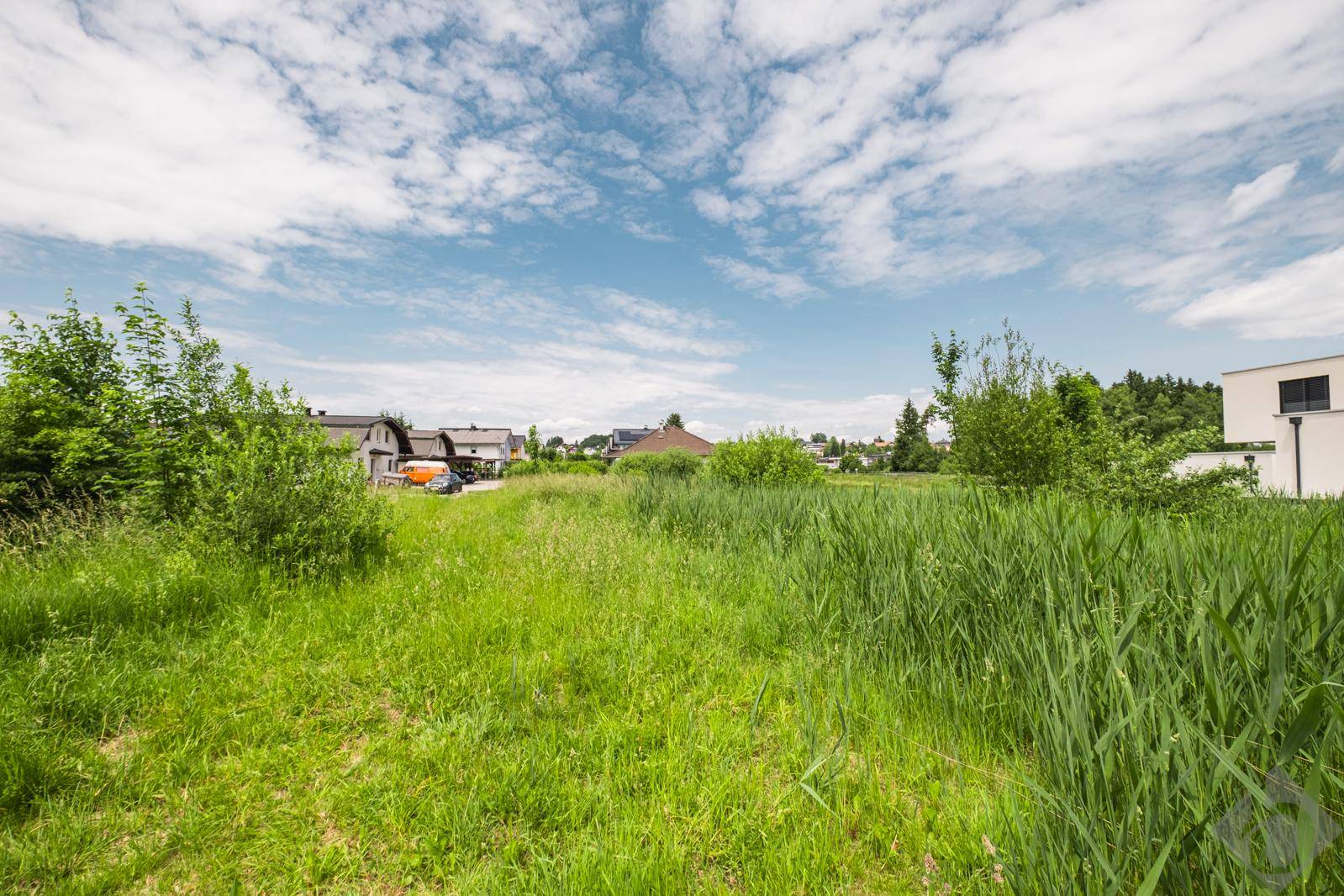 Offenes Feld mit hohem Gras und Blick auf eine Wohnsiedlung unter einem weiten, bewölkten Himmel.