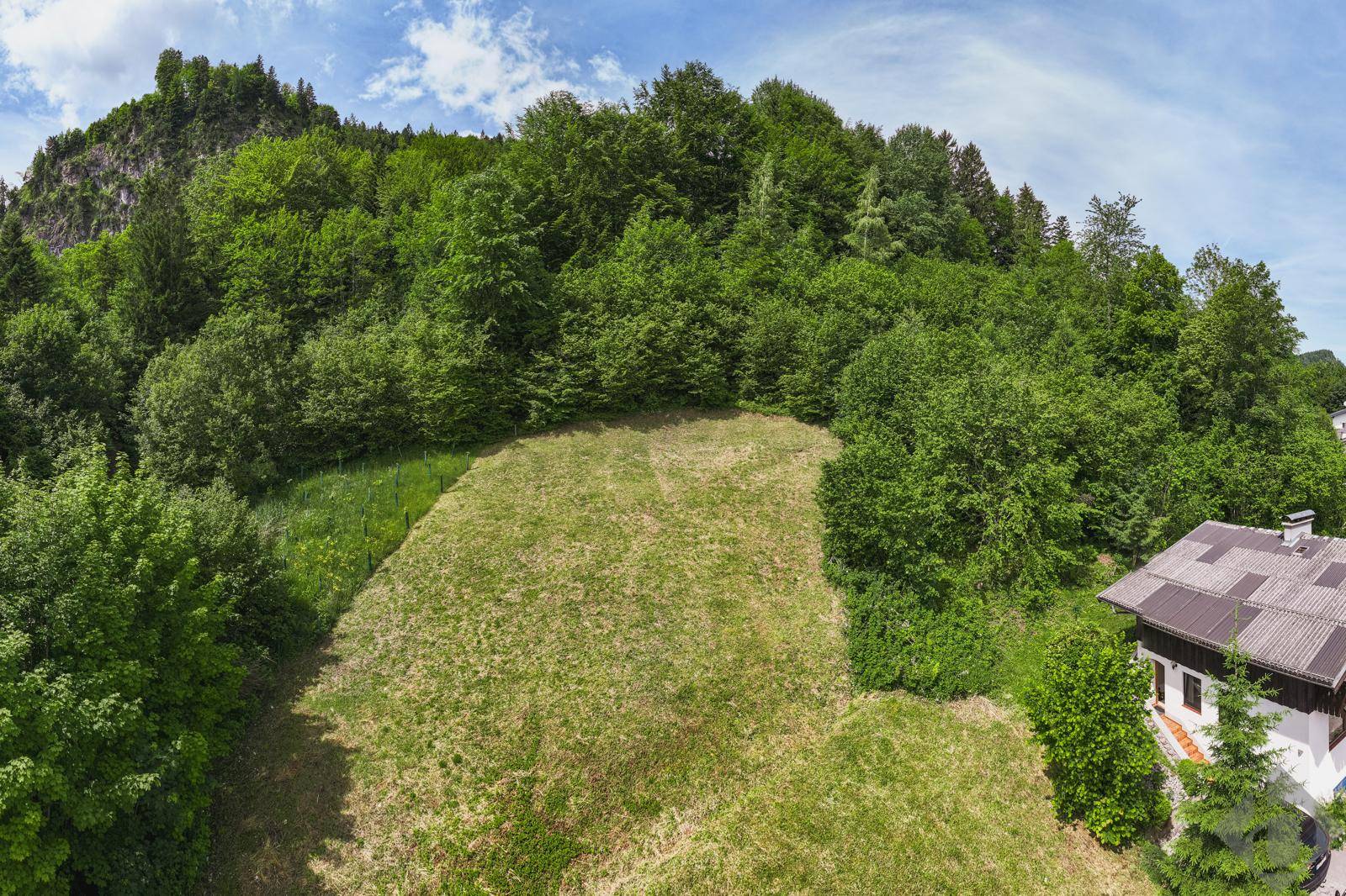Luftaufnahme eines grünen Grundstücks an einem Hang, umgeben von dichtem Wald und Bäumen.