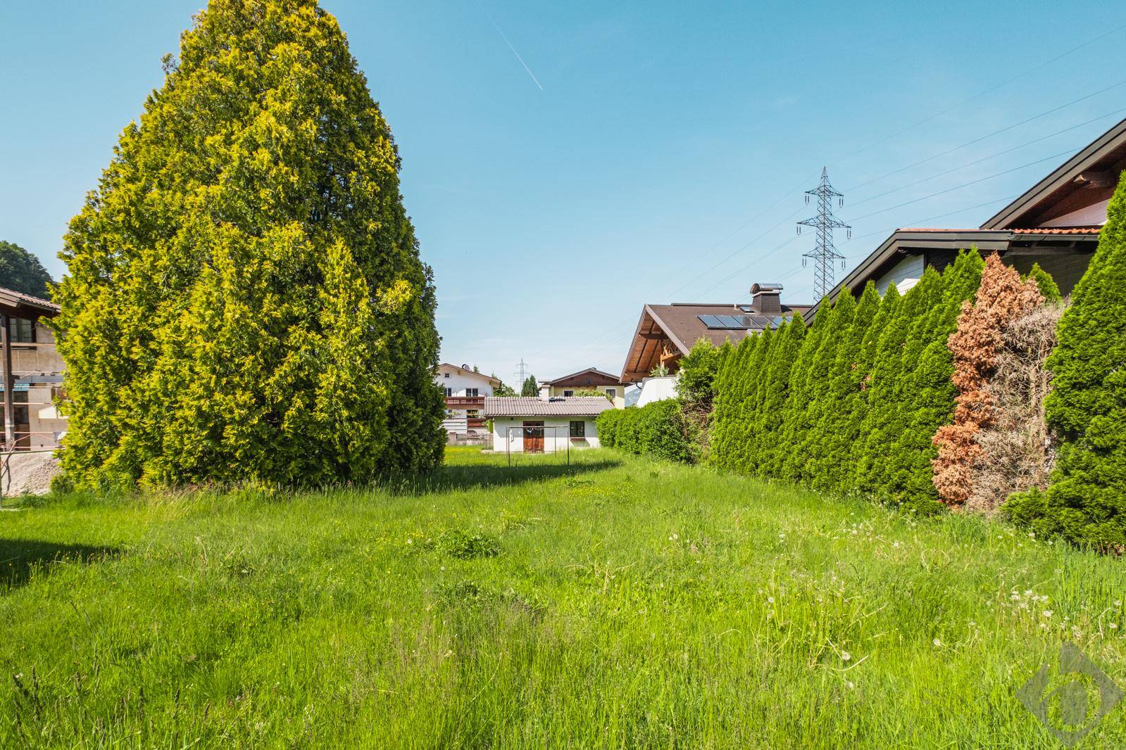 Gepflegter Gartenbereich mit großer Hecke und altem Baum, umgeben von Wohnhäusern.