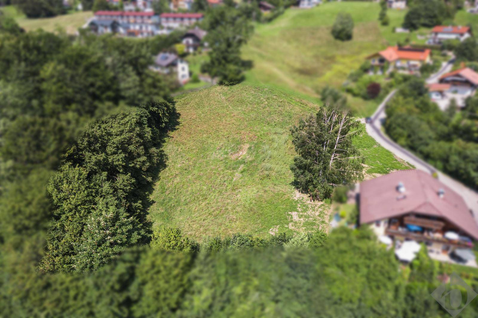 Grundstücksgrenzen