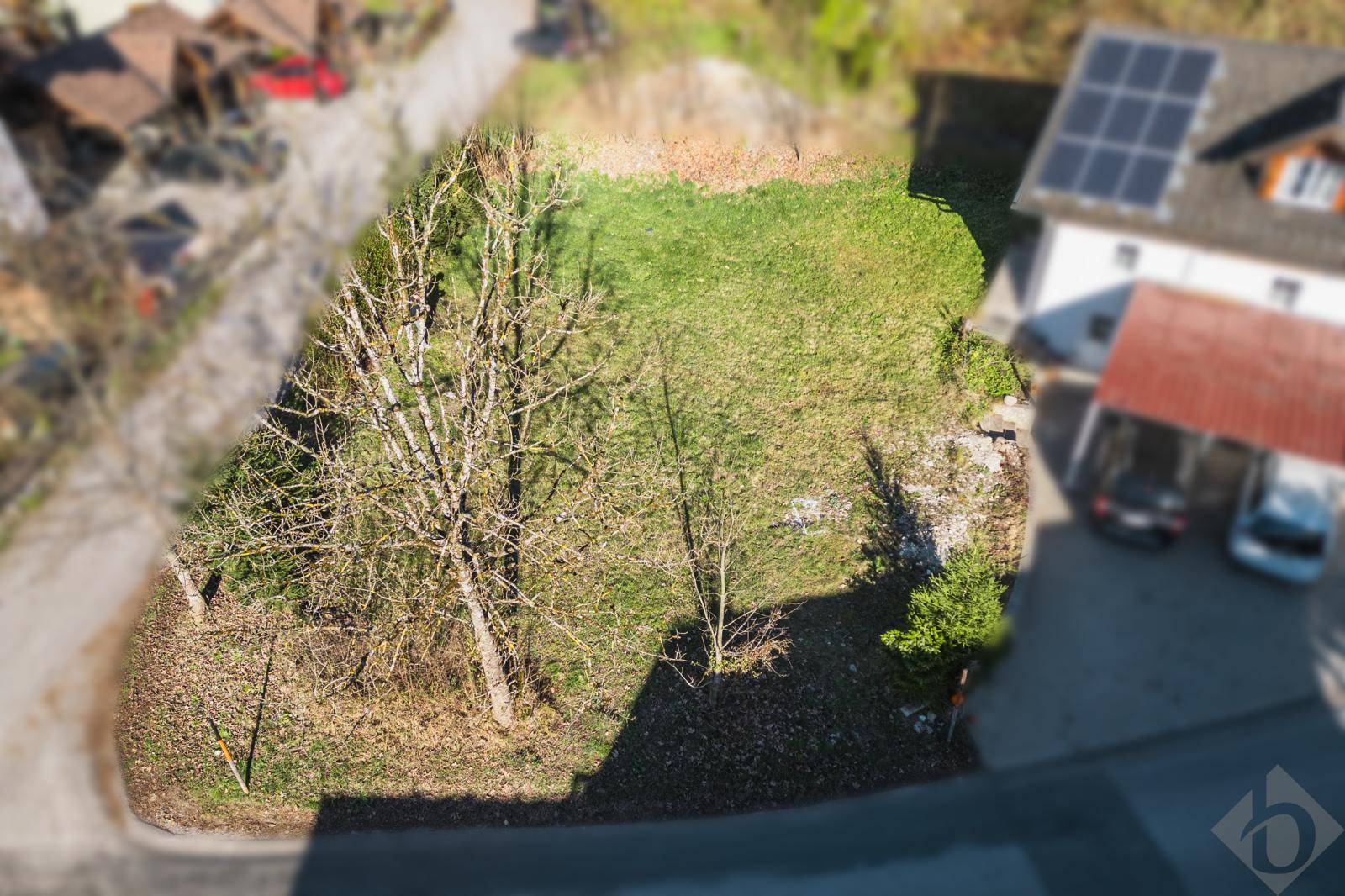 Luftaufnahme eines grünen Grundstücks mit Bäumen, umgeben von Häusern und einer Straße.